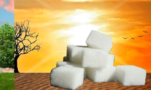 incalzire globala zahar pixabay jpg