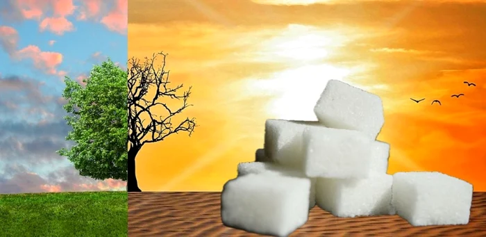 Legătura nebănuită dintre încălzirea globală și consumul de zahăr / foto: colaj Pixabay