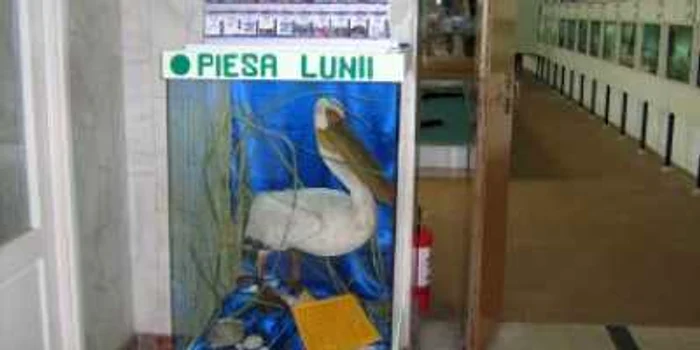 Turnu Severin: Trei piese rare expuse la muzeu