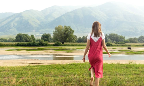 1 shutterstock 1782858575 jpg jpeg