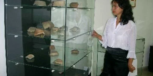 Bacău: Artefacte din neolitic la Muzeul de Istorie