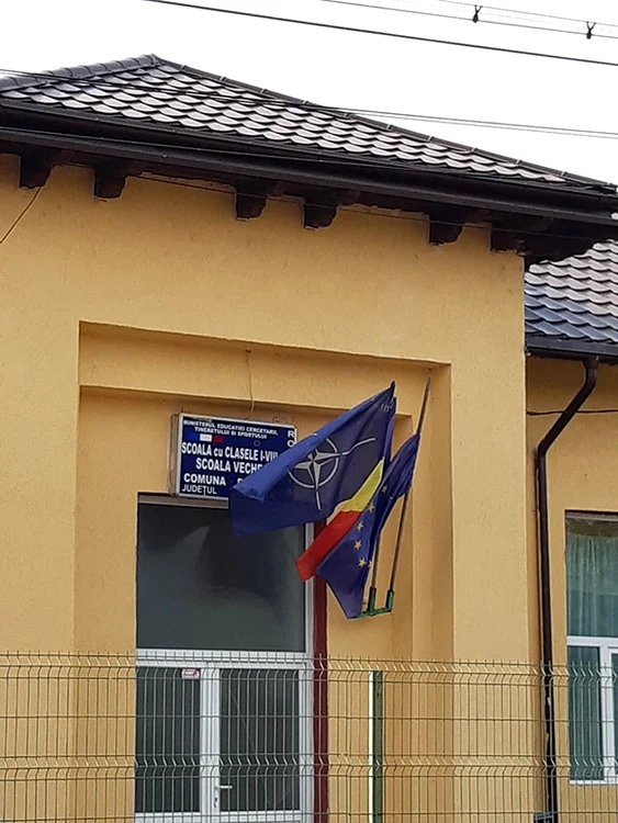 dcalinescu trei doamne jpg jpeg