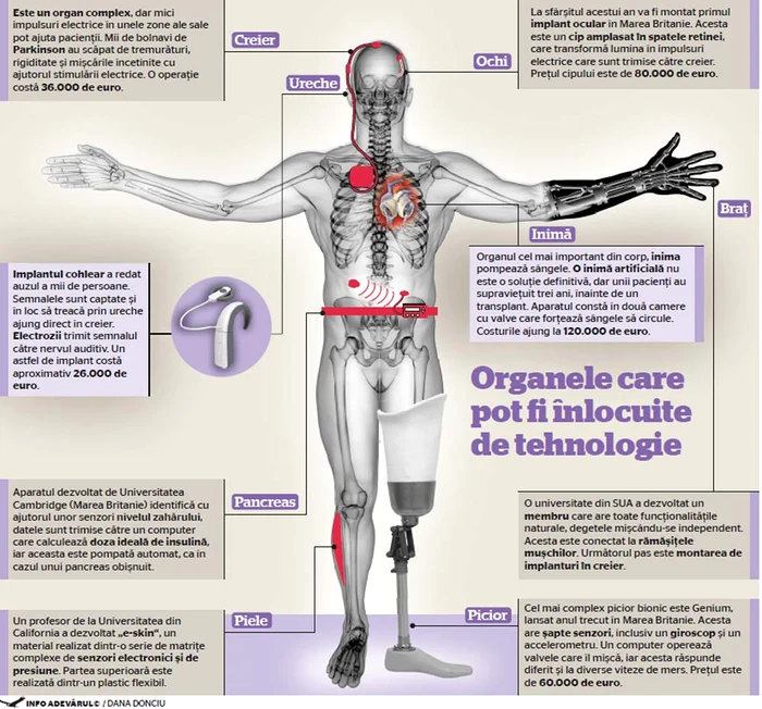 infografie