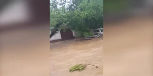 5cf68f0e445219c57e6ea8c3 jpg