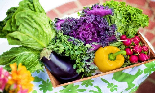 1 75703 original jpg jpeg