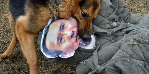 caine militar coreea de nord foto reuters