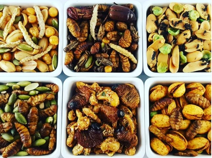 "Alimentul nou" nu e deloc pe  placul românilor. Foto Instagram/Nutribugs