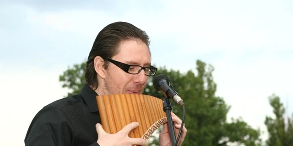 nicolae voiculet