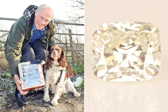 Piatra preţioasă valorează 15.330 €