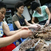 Bucatarese gatind carne de caine în Coreea de Sud Foto GettyImages 53193146 jpg