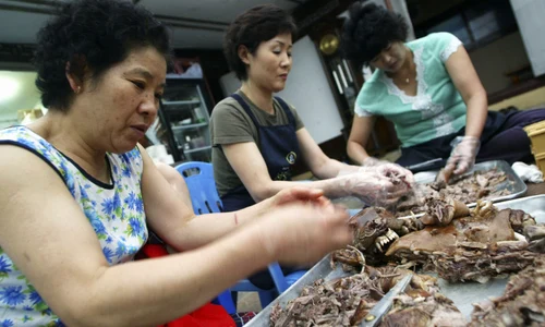 Bucatarese gatind carne de caine în Coreea de Sud Foto GettyImages 53193146 jpg