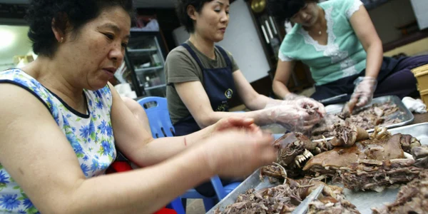 Bucatarese gatind carne de caine în Coreea de Sud Foto GettyImages 53193146 jpg