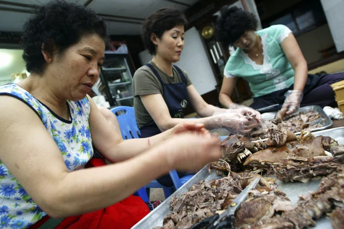 Bucătărese gătind carne de câine în Coreea de Sud