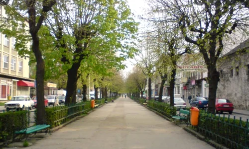 Bulevardul Pardon Campulung jpg