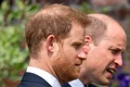 Prinţul William