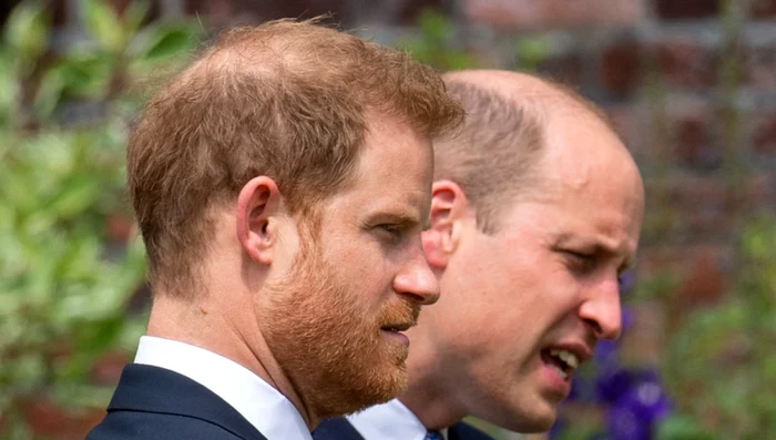 Prinţul William, Prinţul Harry. Foto: Profimedia