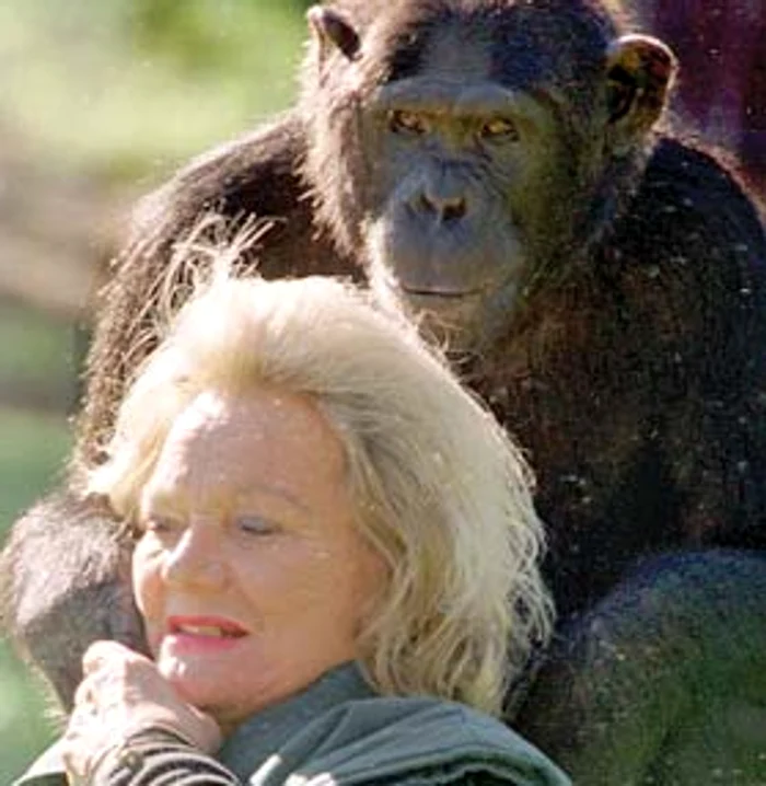 2. Kalu 80 milioane $