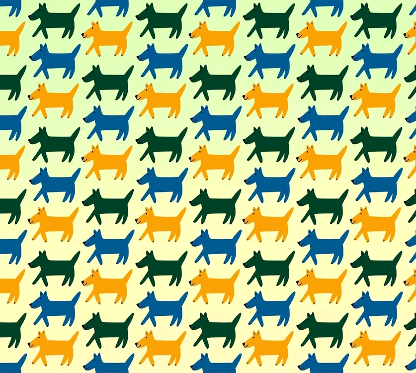Test vizual.
