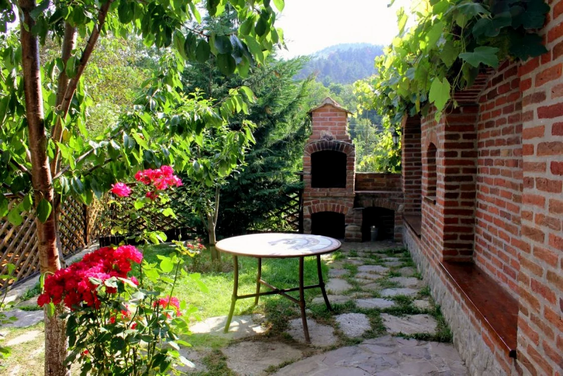 case vacanta vale