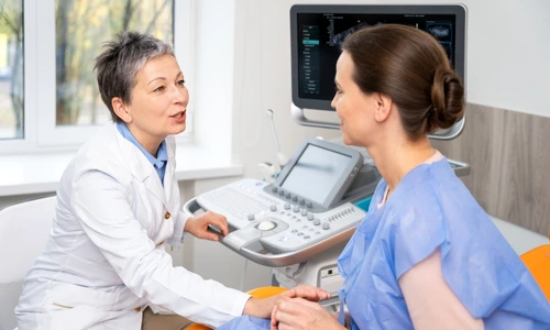 shutterstock 2441025921 jpg