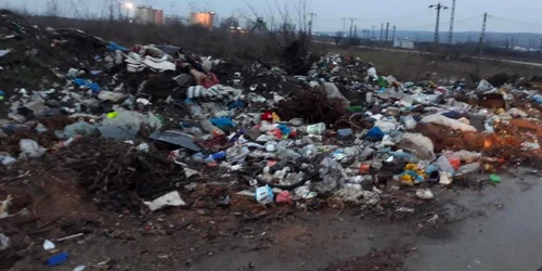 gunoi cotofenii din fată