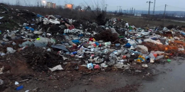 gunoi cotofenii din fată
