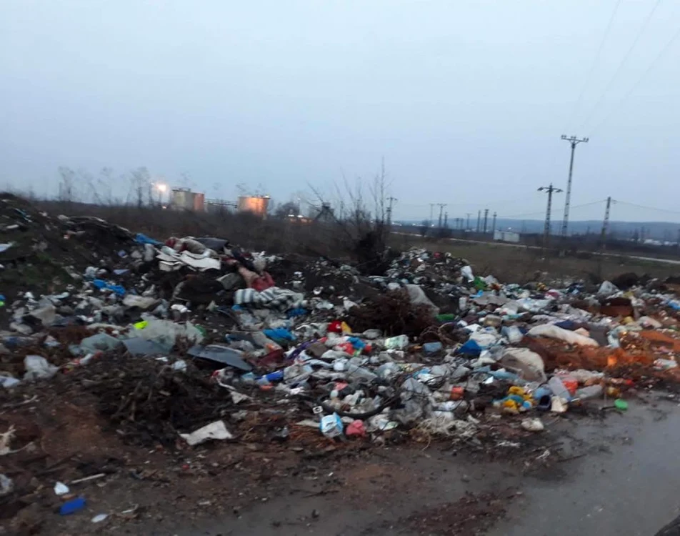 Gunoaiele de pe marginea drumului din comuna Coţofenii din Faţă FOTO Facebook /