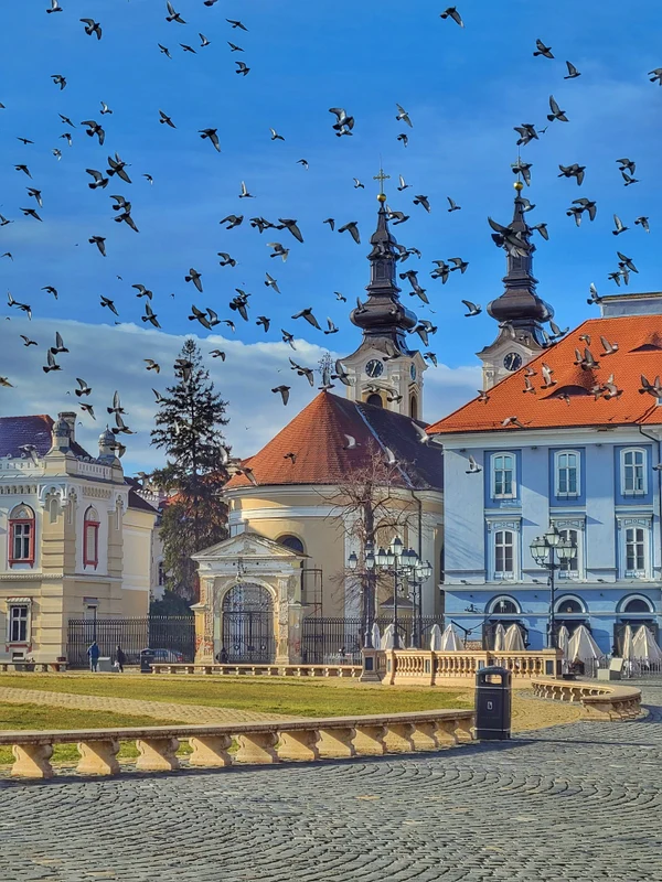 Timișoara 2024 FOTO Destinatiaanului.ro