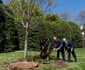 10 melania trump donald trump plantand copac in ziua pamantului casa alba 2 jpg jpeg
