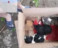 Căţeluşi salvaţi de iubitorii de animale Foto FB Asociatia de Protectie a Animalelor „A Doua Sansa” Ramnicu Valcea