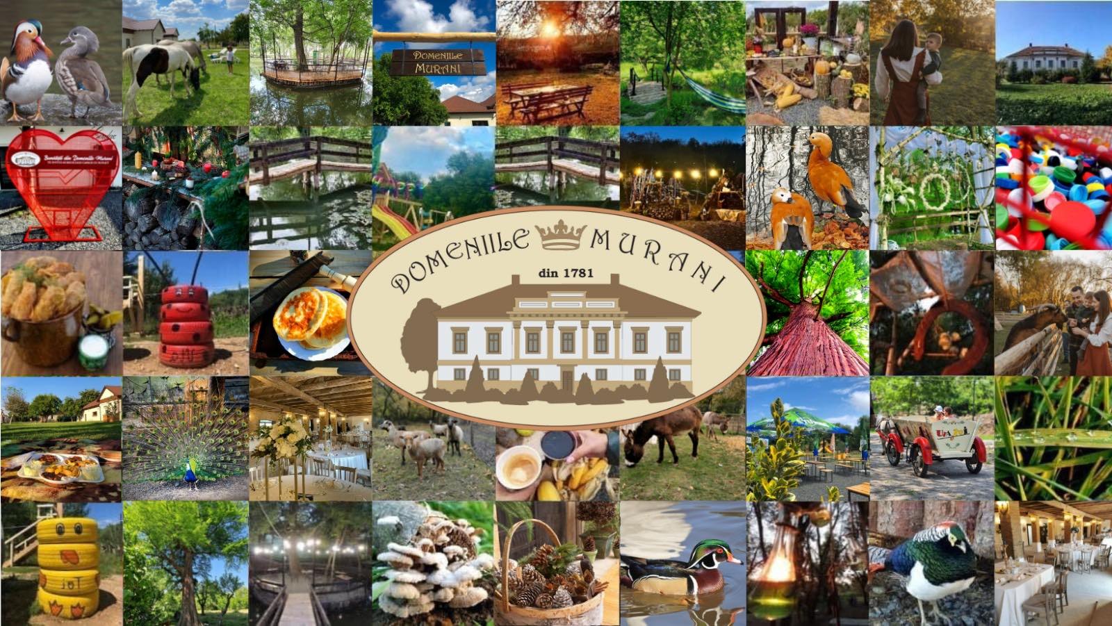 Domeniile Murani concurează pentru titlul de Destinația Anului 2024