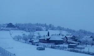 vremea 12 martie 2019 bran zapada iarna 2019 jpeg