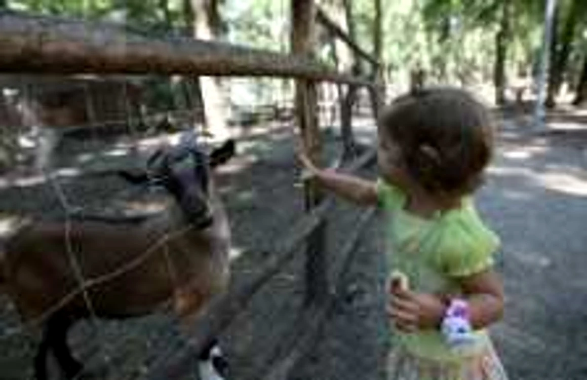 Grădina Zoologică se deschide anul viitor în august