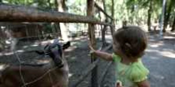 Grădina Zoologică se deschide anul viitor în august