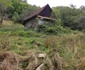 Bulzestii de sus, Hunedoara Foto Daniel Guță ADEVĂRUL (55) jpg