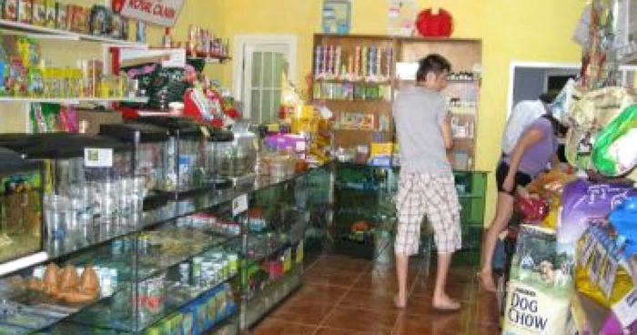 Brăila: Peştii şi papagalii, cei mai bine vânduţi în pet shop-urile brăilene