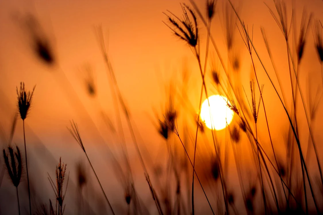 Foto: Darwis Alwan - Pexels.com