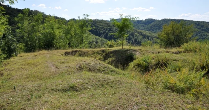 buridava