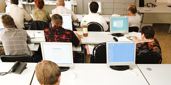 Brinel va organiza, la Cluj, o şcoală particulară de IT