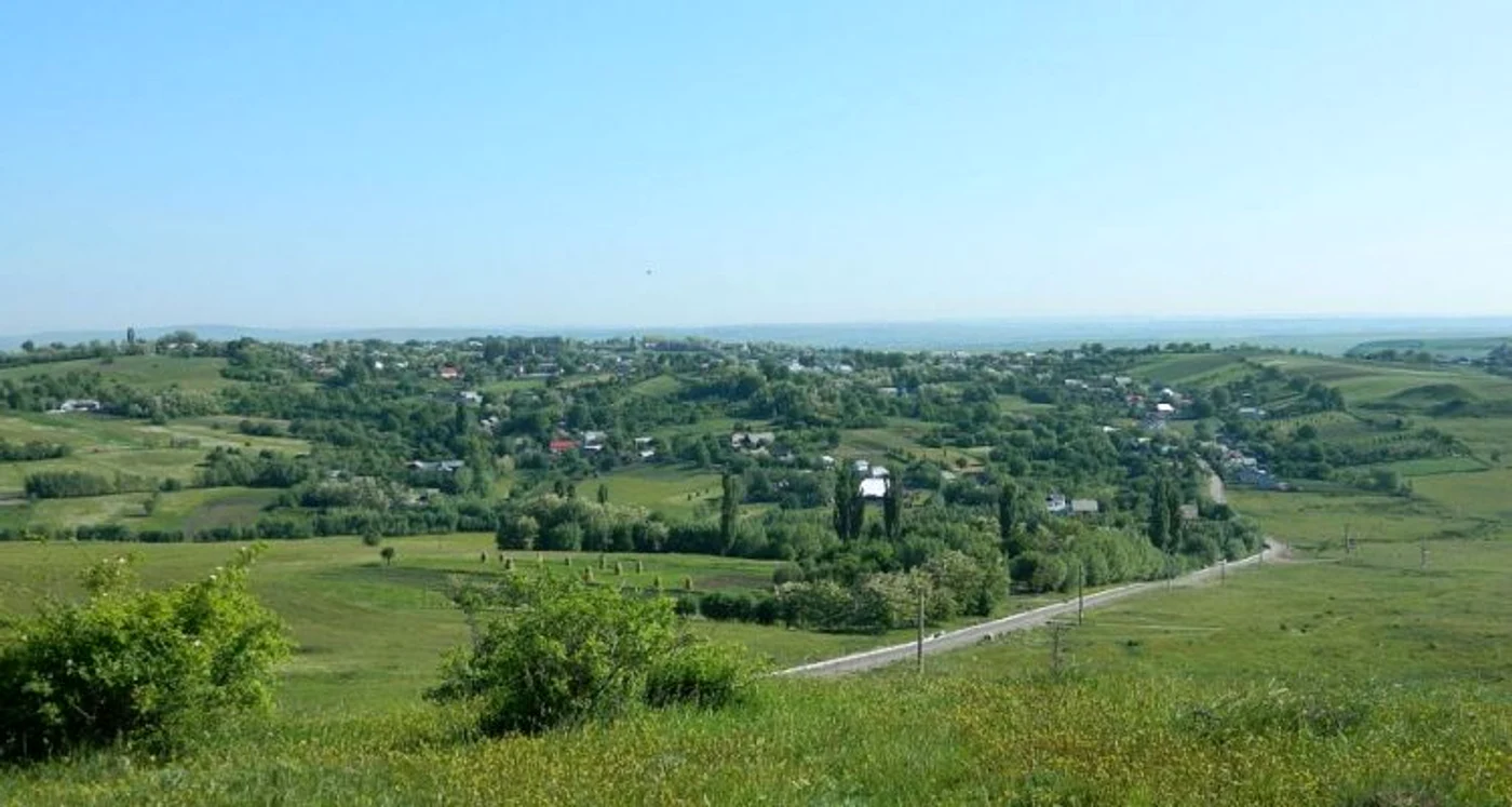 
    Undeva, în pădurile de pe dealurile Horodniceniului oameni fără suflet au spânzurat doi câini nevinovațiFoto: suceavalive.ro  