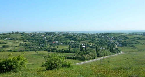Undeva, în pădurile de pe dealurile Horodniceniului oameni fără suflet au spânzurat doi câini nevinovațiFoto: suceavalive.ro