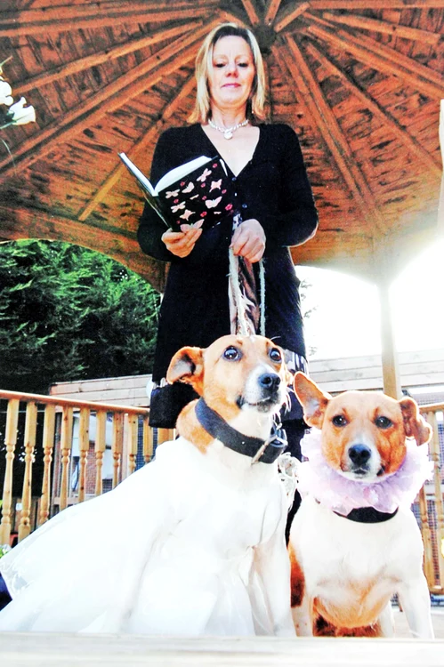 Ann Clark oficiază ceremonii nupţiale pentru dulăi