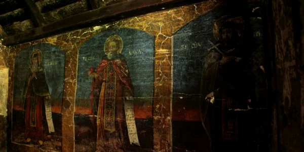COBIA SF NICOLAE
