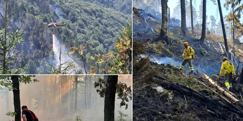 Incendii de vegetație in România Foto ISU Bihor jpg