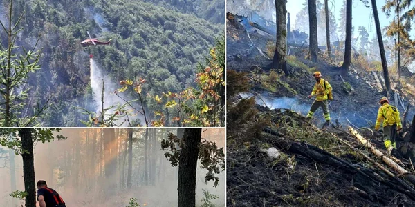 Incendii de vegetație in România Foto ISU Bihor jpg