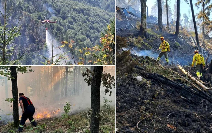 Incendii în Bihor și Mehedinți. Sursa: ISU Bihor, ISU Mehedinți