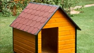 Cusca Caine Talie Extra Mare, Izolata Termic, ASI4   Poza Gradina 1 jpg