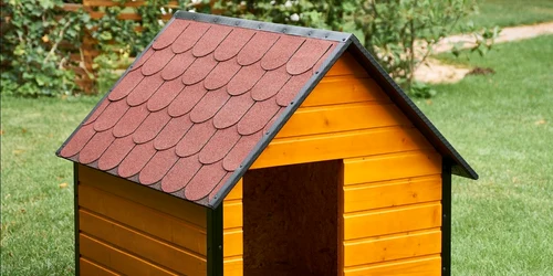 Cusca Caine Talie Extra Mare, Izolata Termic, ASI4   Poza Gradina 1 jpg