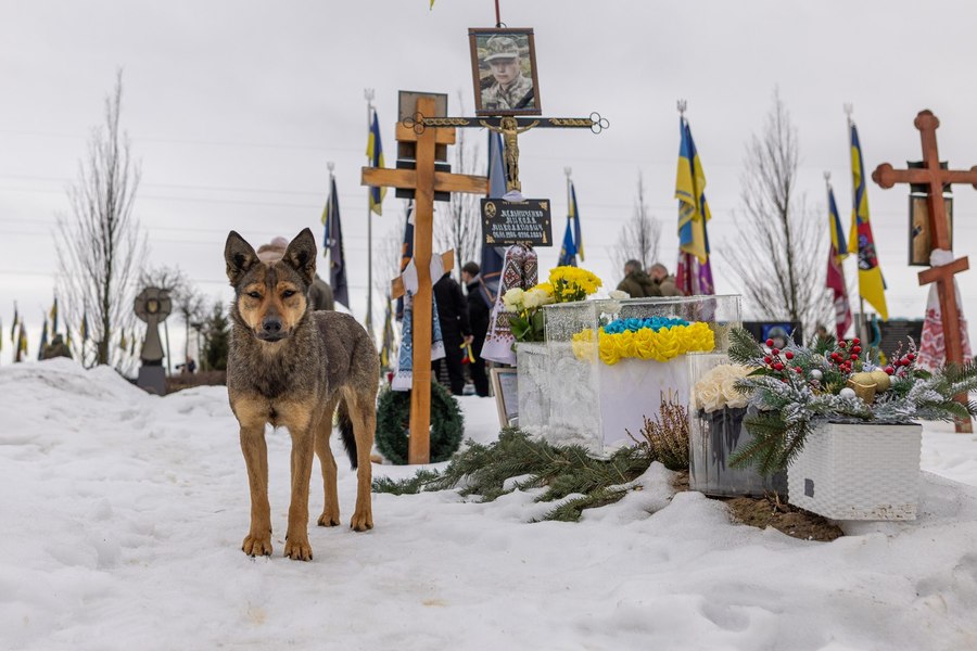 Cum a schimbat războiul din Ucraina aspectul câinilor de pe front: secretul care-i ajută să nu declanșeze minele