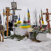 Câine în Ucraina FOTO Profimedia 